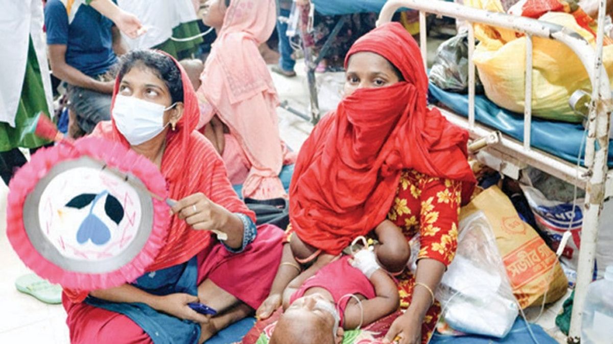 ২৪ ঘণ্টায় ডেঙ্গুতে আট জনের মৃত্যু, নতুন আক্রান্ত ১৭৮২