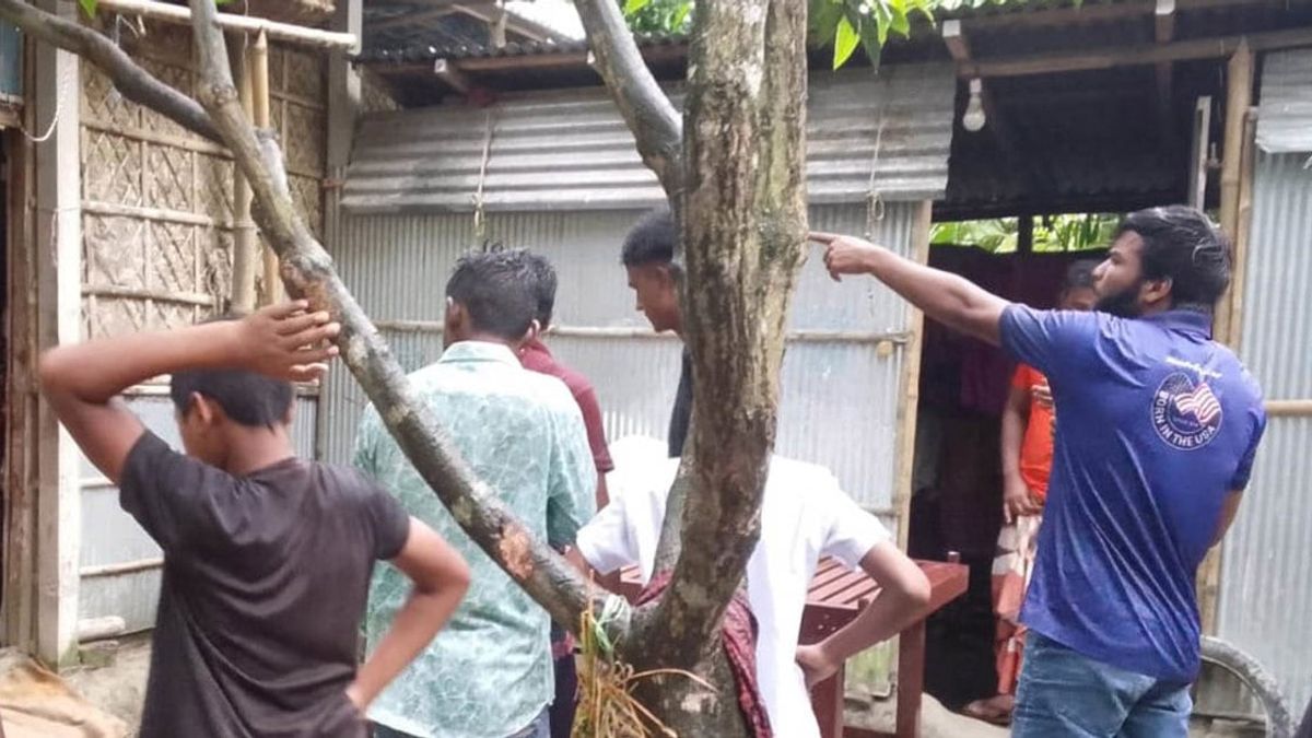 স্কুল থেকে ফিরেই গোয়ালঘরে, গরুর গুঁতায় শিক্ষিকার মৃত্যু