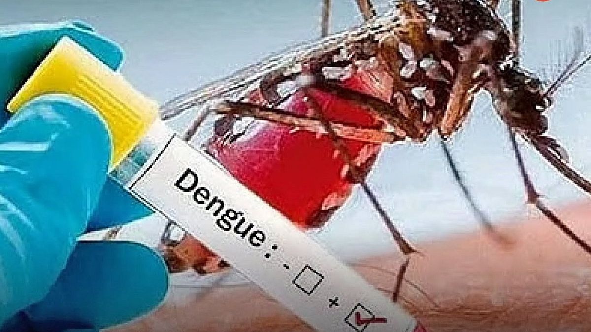 ডেঙ্গুতে রেকর্ড সংক্রমণ, মৃত্যু ৬ জনের