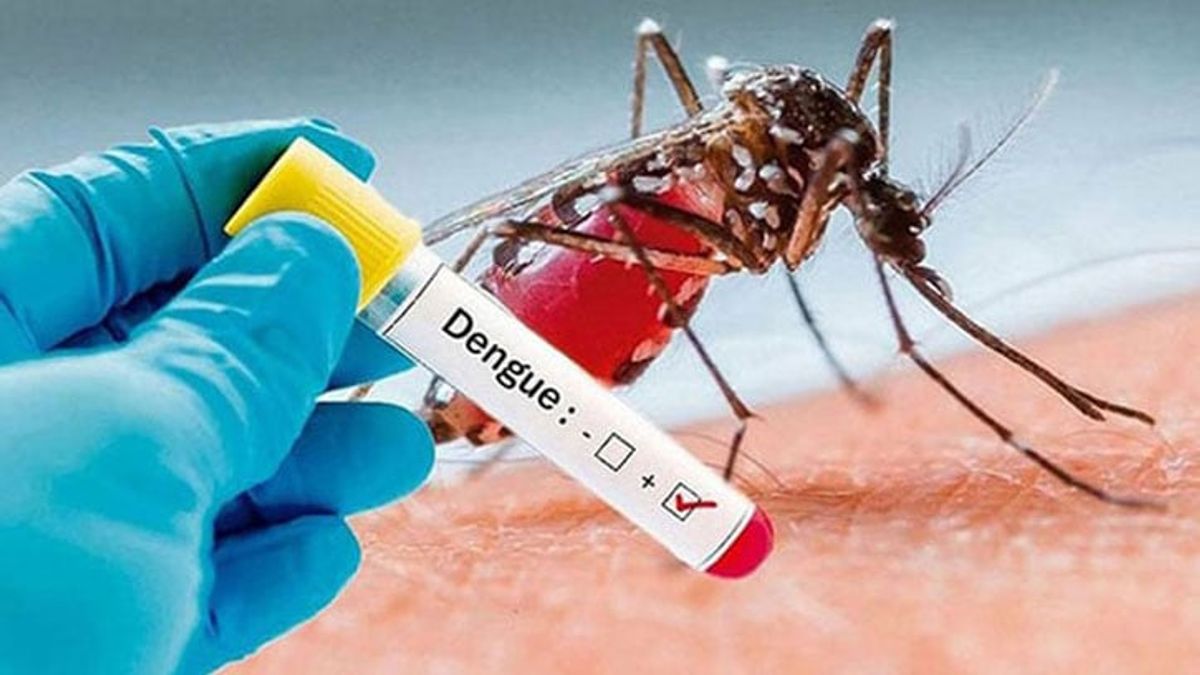ডেঙ্গুতে মৃত্যু ৫, হাসপাতালে ভর্তি ১৬৫৫