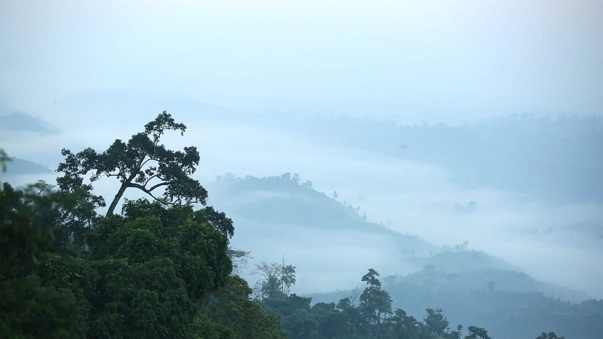 এবার শীত কি কম হবে, কেন এমনটা বলা হচ্ছে