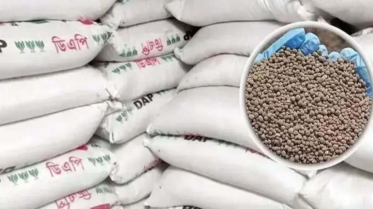 সুনামগঞ্জে এমপির ডিও লেটারে সার ডিলার নিয়োগ